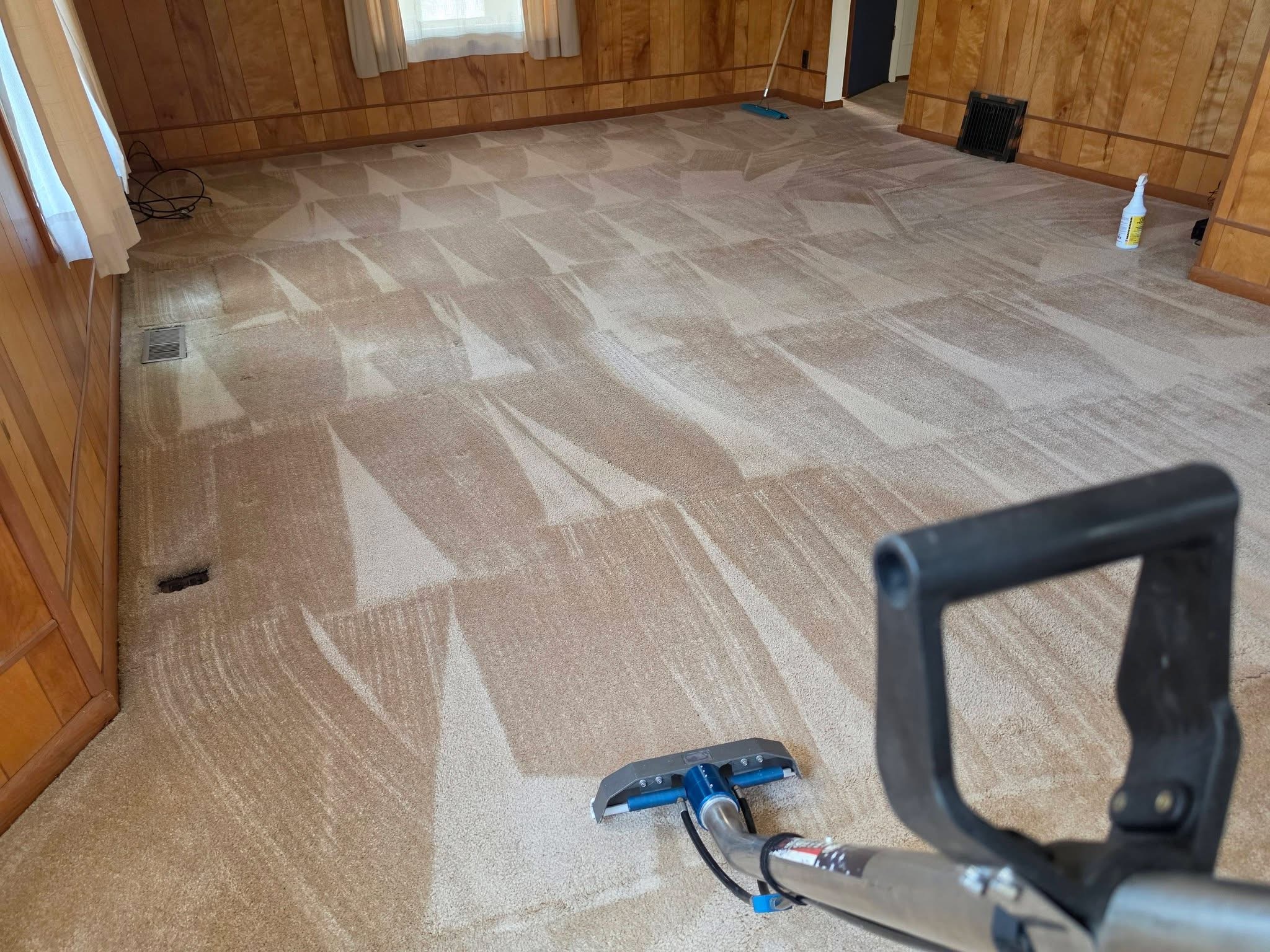 Freshly cleaned plush carpet in a Montclair CA living room