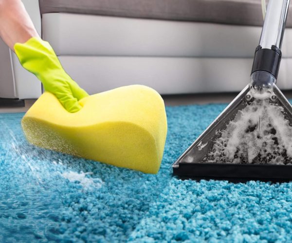 pet stain carpet cleaning