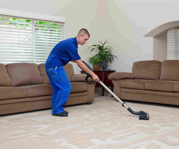 professional carpet maintenance